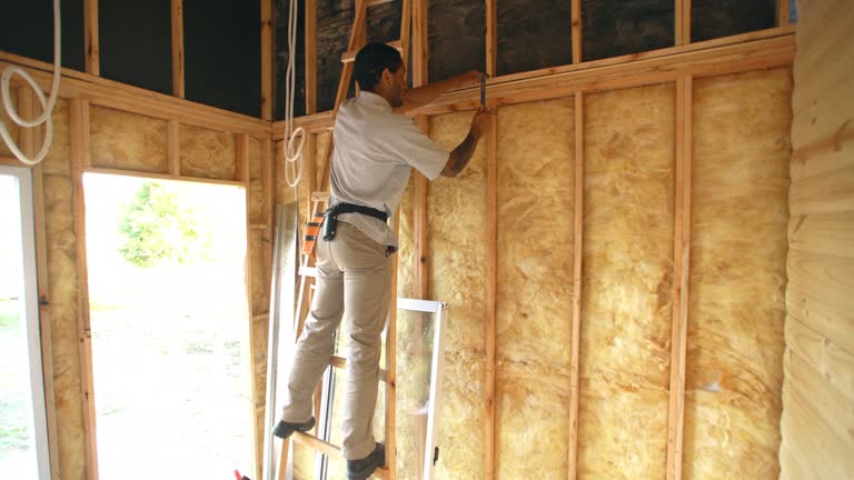 Best Reflective Insulation  in Conway, FL