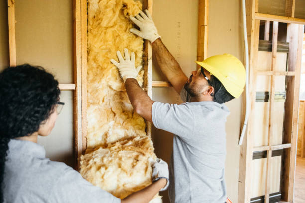 Types of Insulation We Offer in Conway, FL